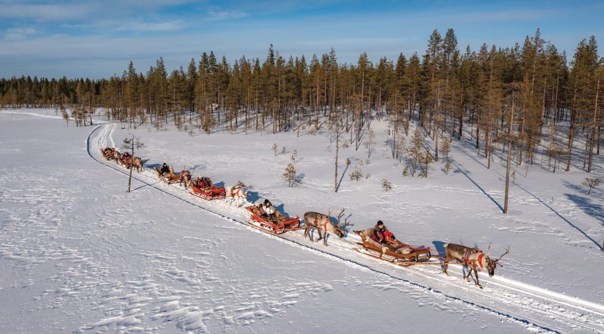 Reindeer farm visit & safari in Mount Porovaara Rovaniemi Lapland