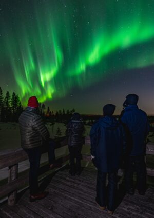 Excursión de auroras boreales en Rovaniemi Laponia