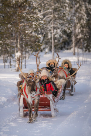 Reindeer ride in Santa Claus Village at the Arctic Circle