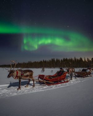 Northern Lights safari with reindeer on Porovaara Hill reindeer farm in Rovaniemi Lapland
