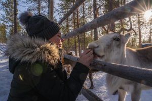Visiteur nourri un renne avec des lichens à la ferme de rennes de Porovaara Hill à Rovaniemi