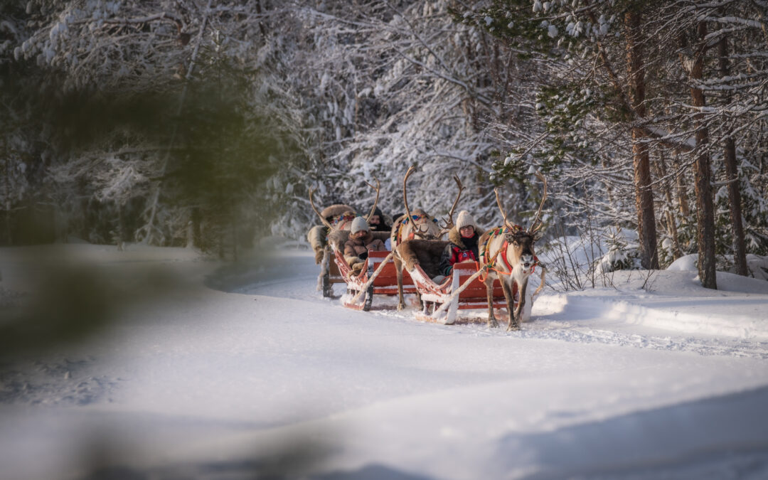 Reindeer Christmas Magic: Meet the Stars of Santa’s Sleigh Ride
