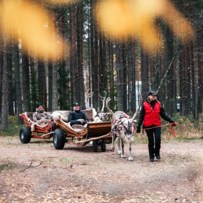 Reindeer_sleigh_ride_in_autumn
