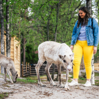 Santa Claus Summer Magic 14 by Santa Claus Reindeer in Rovaniemi, Lapland, Finland Summer in Rovaniemi with the Reindeer