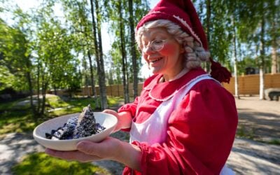 Why Mrs. Santa Claus Visits the Reindeer in Summer: A Heartwarming Story from Santa Claus Village