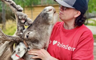 A Quiet Milestone: Another Season at Santa Claus Reindeer