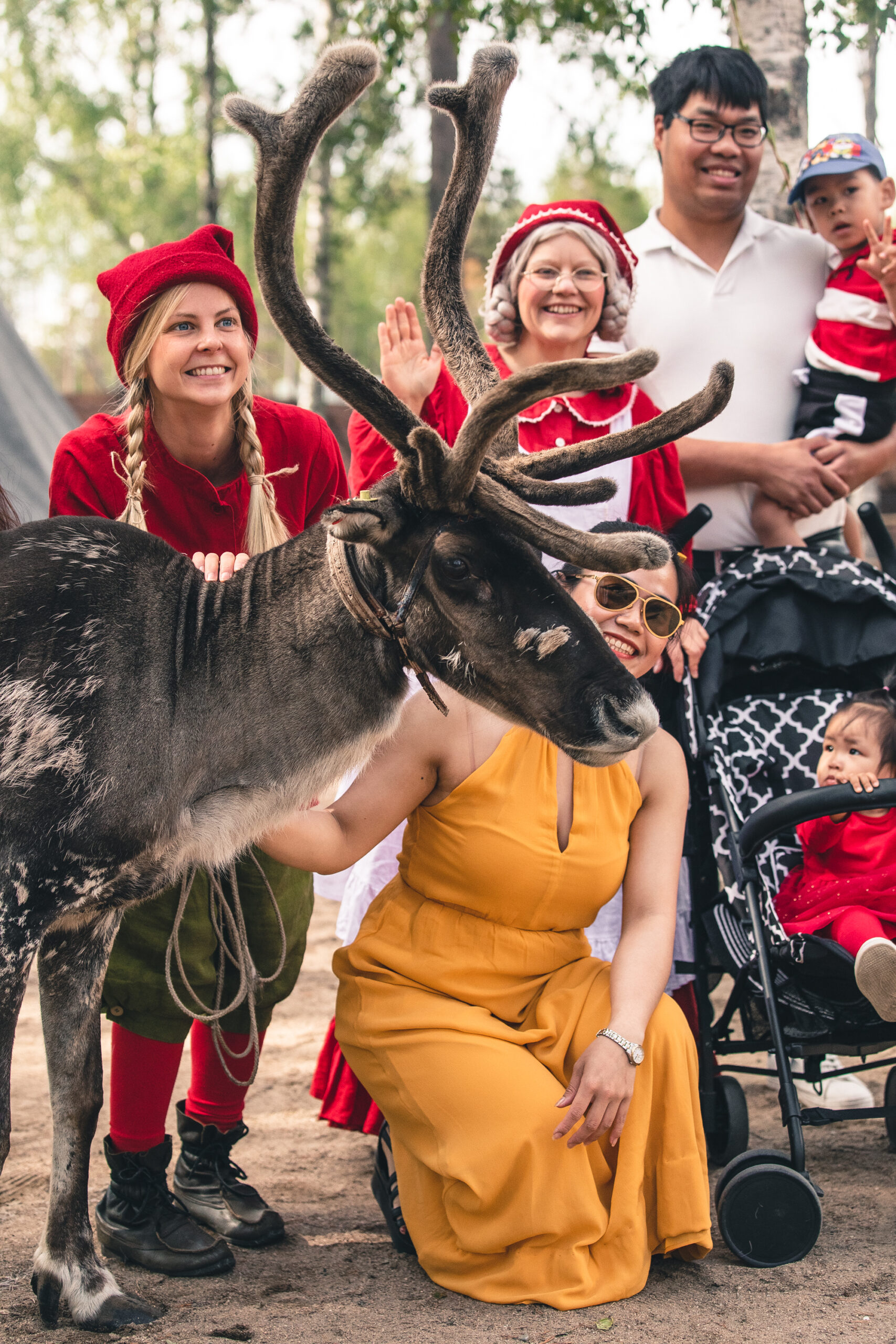 Santa Claus Reindeer – Summer with Reindeer, Elves and Mrs San