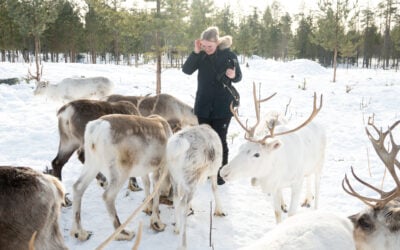 Things to Do in Rovaniemi – Authentic Arctic Experiences with Santa Claus Reindeer