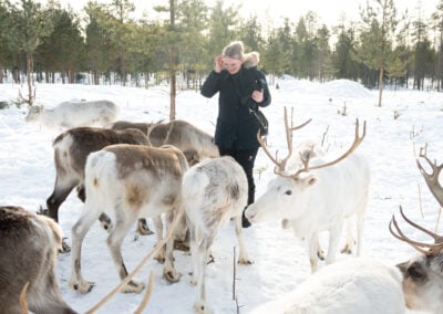 Things to Do in Rovaniemi – Authentic Arctic Experiences with Santa Claus Reindeer