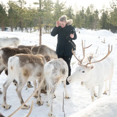 Taava Reindeer Farm visit in winter, guest meeting reindeer, Rovaniemi, Lapland, Finland by Anne Nitschke Taava Reindeer Farm visit in Winter