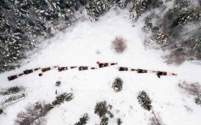 How Much Is Lapland? A Guide to Costs, Seasons and Experiences