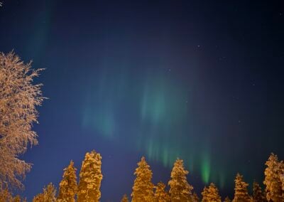 Northern Lights above Taava Reindeer Farm Kota in Rovaniemi, Lapland, Finland