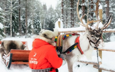 Reindeer Guide for the Winter Season 2026–2027