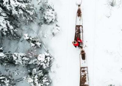 Sleigh ride in Taava Reindeer Farm in winter season in Rovaniemi, Lapland, Finland