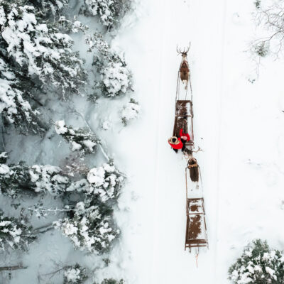 Sleigh ride in Taava Reindeer Farm in winter season in Rovaniemi, Lapland, Finland