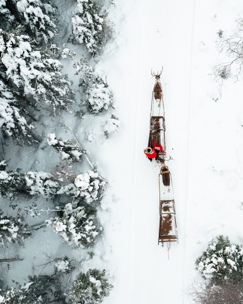Sleigh ride in Taava Reindeer Farm in winter season in Rovaniemi, Lapland, Finland