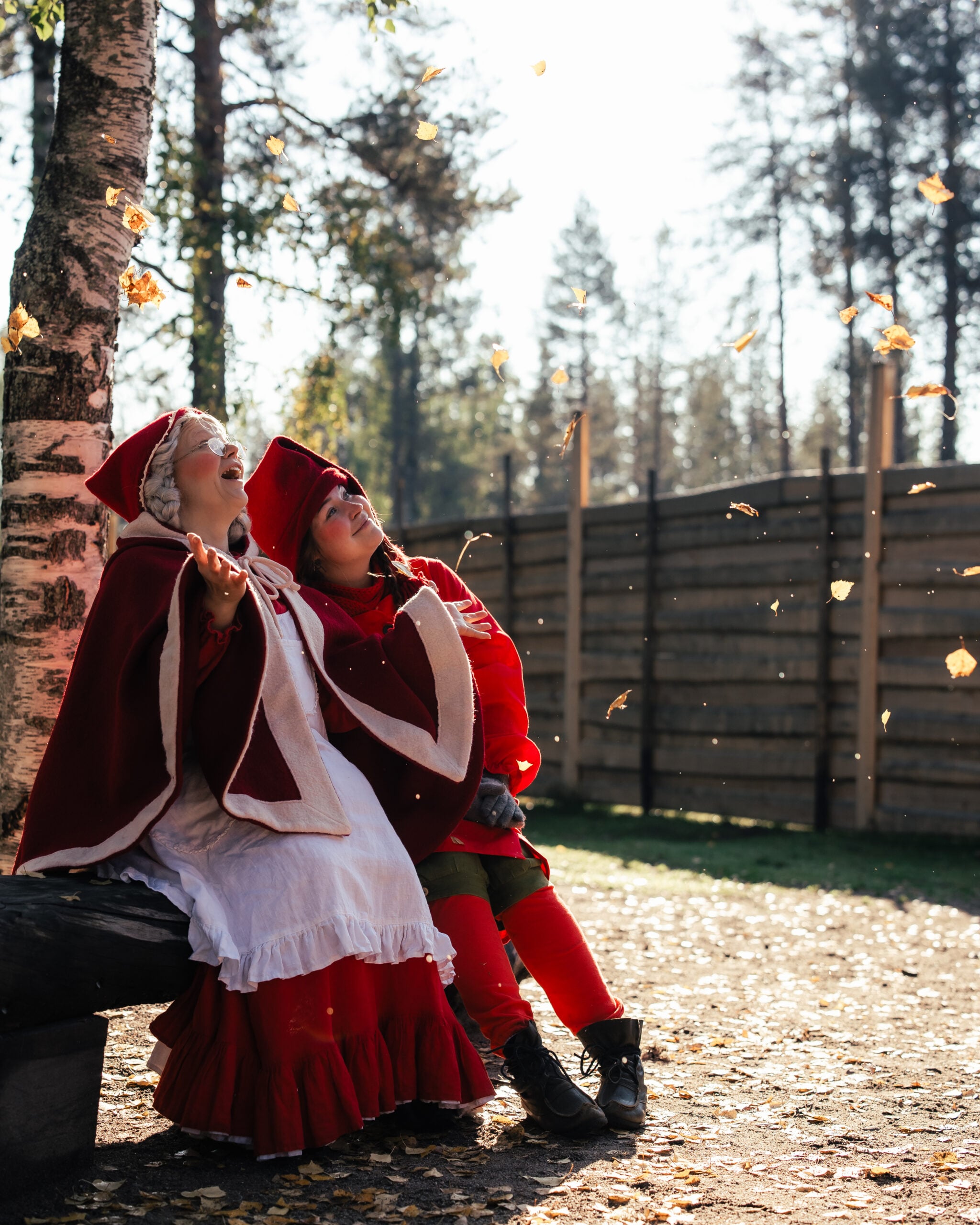 Mrs Santa Claus knitting