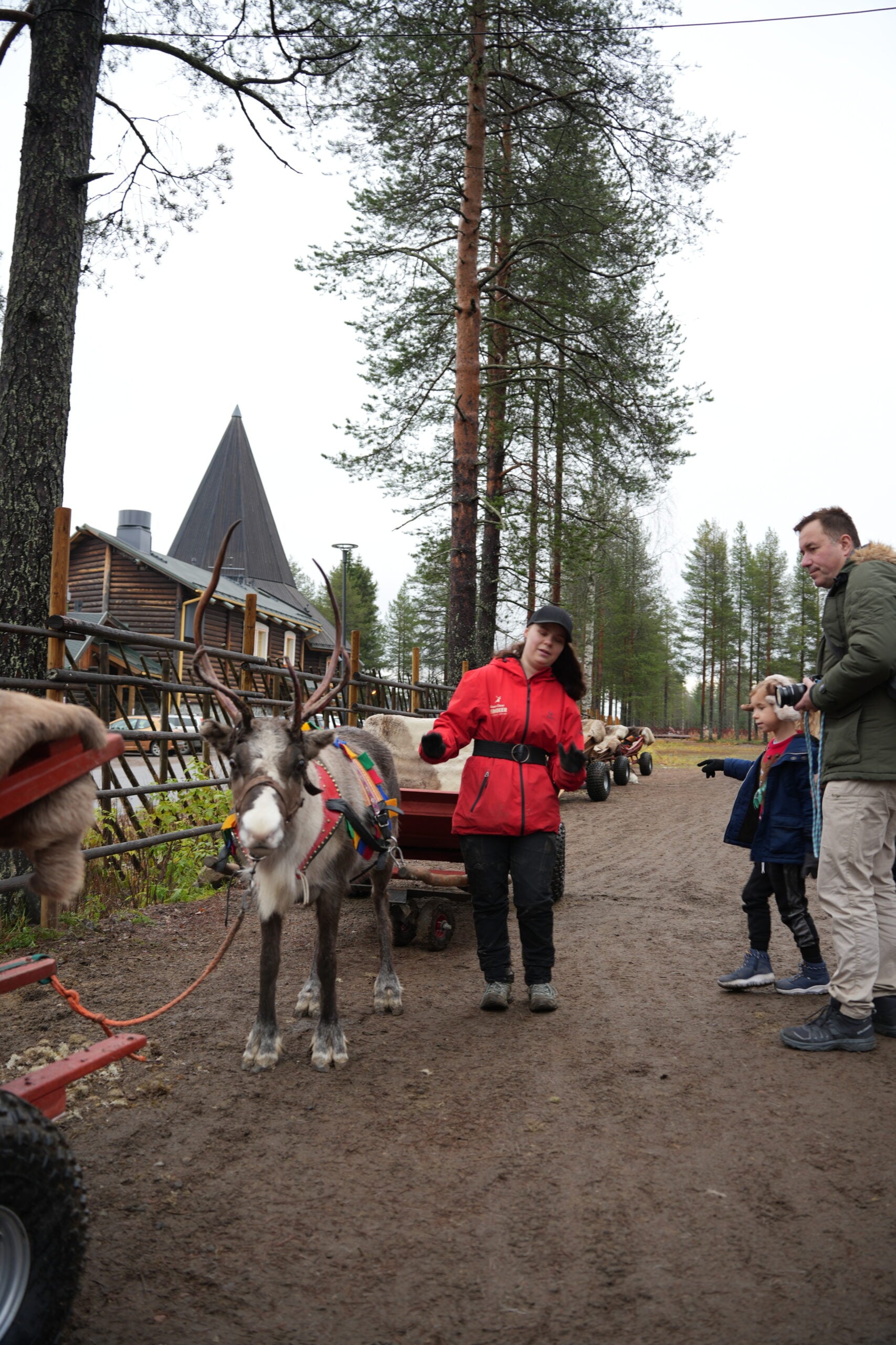 Anette, Santa Claus Reindeer guide
