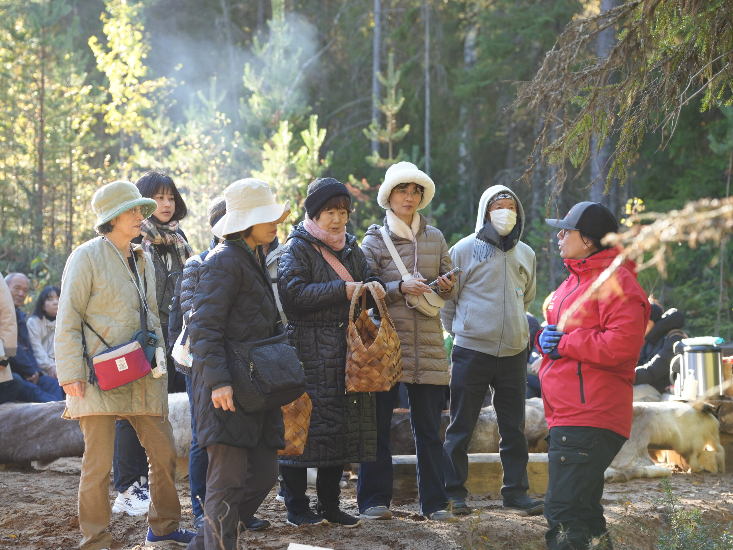 Reindeer guide explaining about the Lappish stories