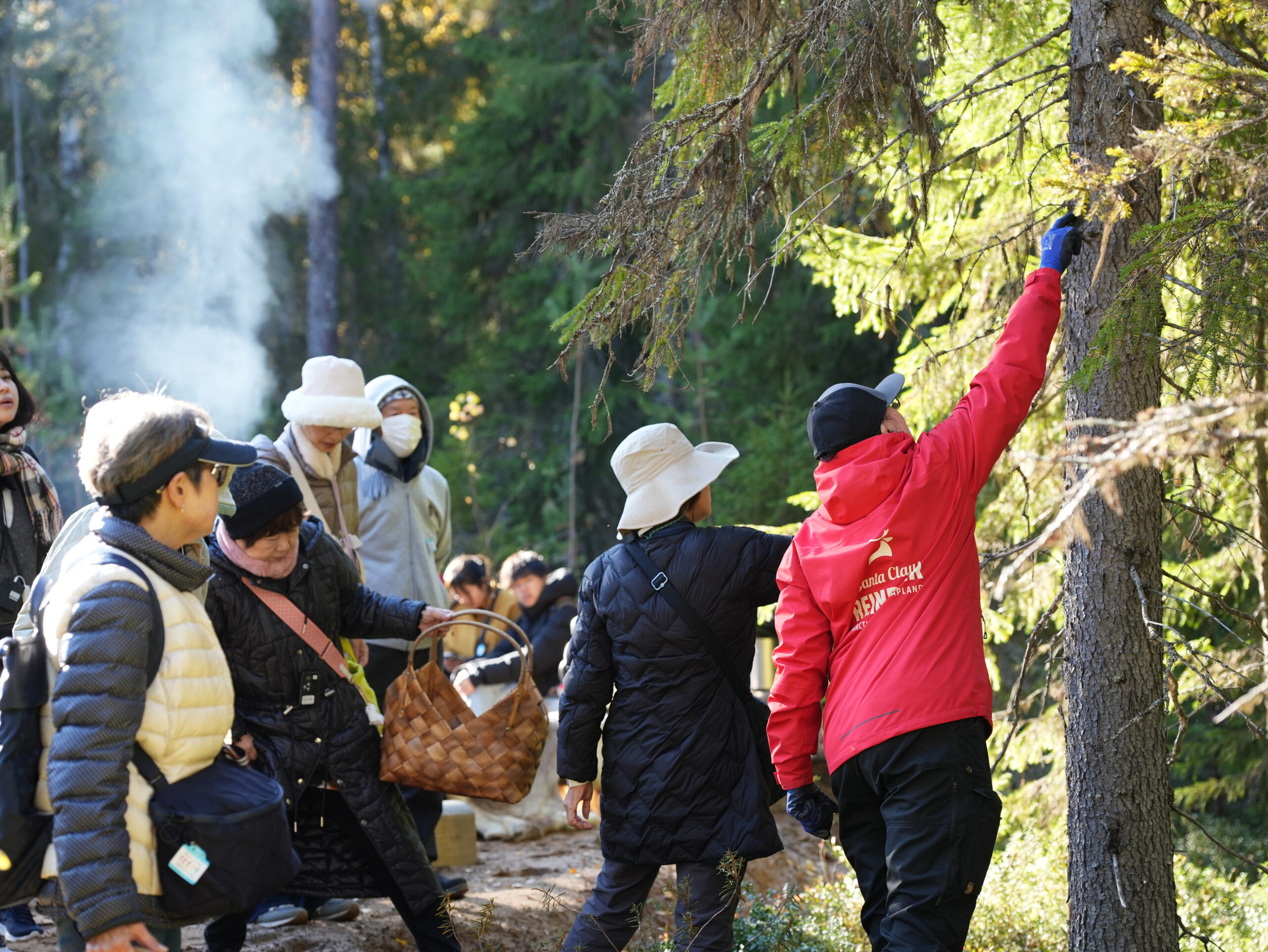 Picking something from the tree in the Live the Life of the Reindeer Herder experience