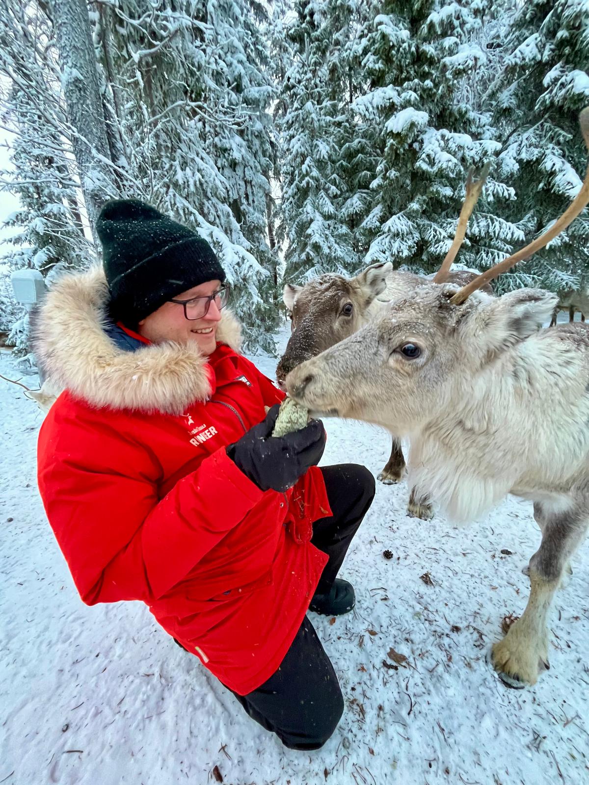 Olli Heikkilä, Santa Claus Reindeer Guide petting the reindeer