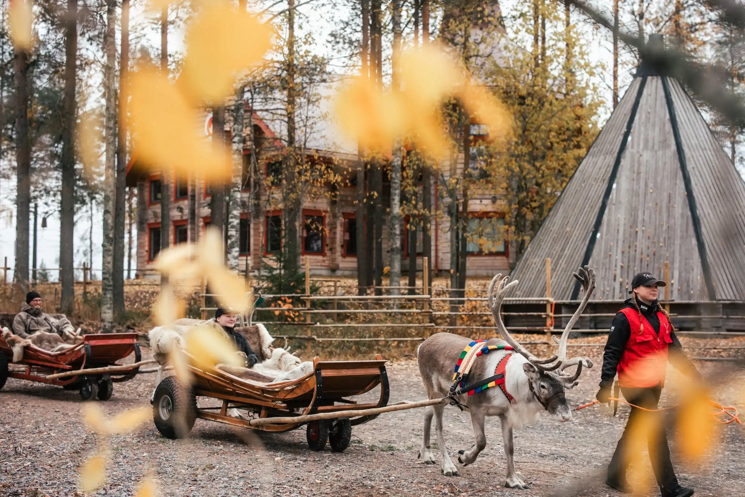 Autumn reindeer sleigh ride at Santa Claus Village