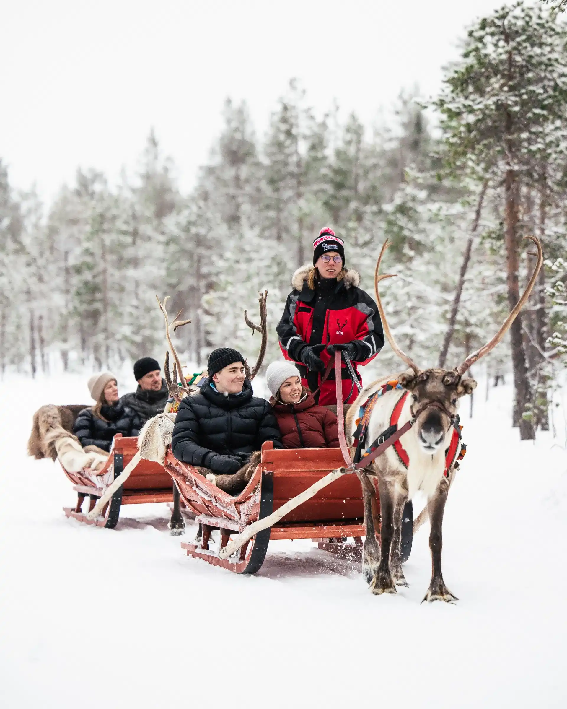 Reindeer sleigh ride through Santa’s Forest