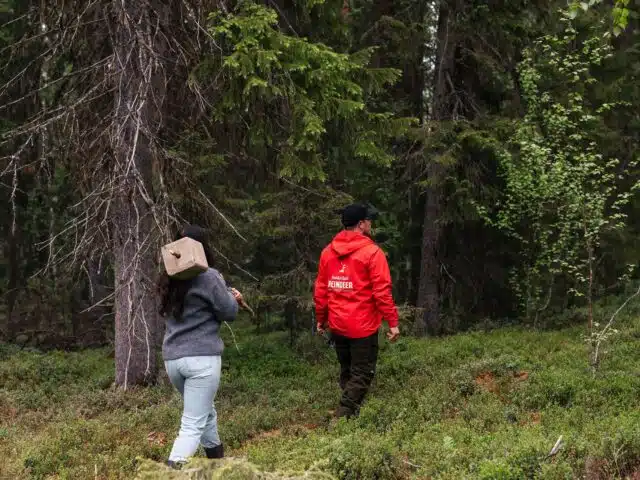 Live the Life of a Reindeer Herder – Half-Day in the Arctic