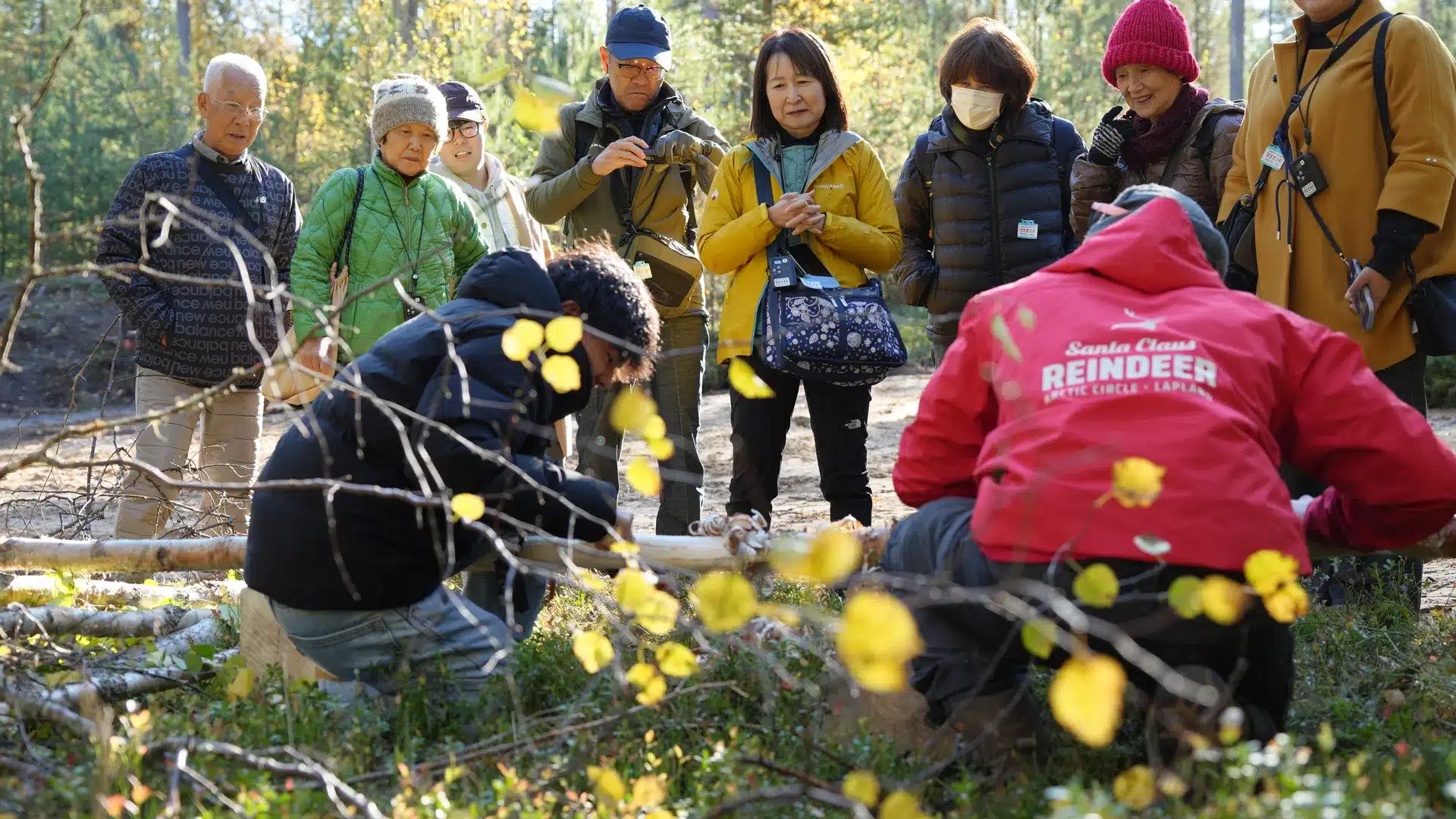 Reindeer herders and visitors in a forest clearing