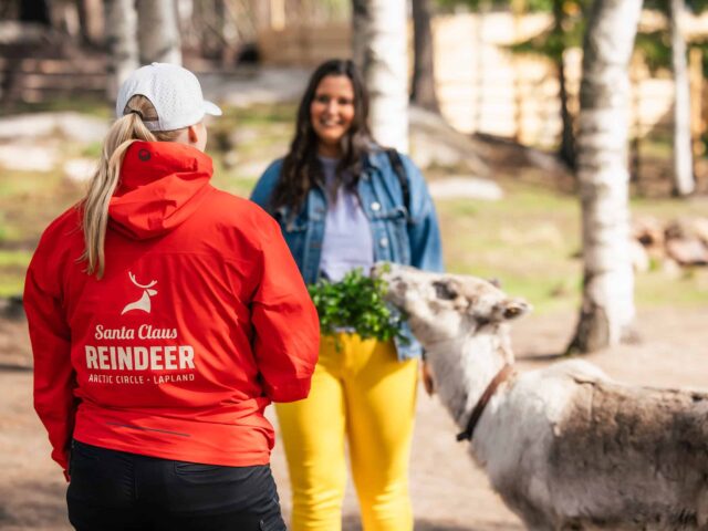 Santa Claus Summer Magic in Rovaniemi – A Fun and Unforgettable Encounter with Reindeer in Summer