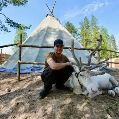 Lappish reindeer guide