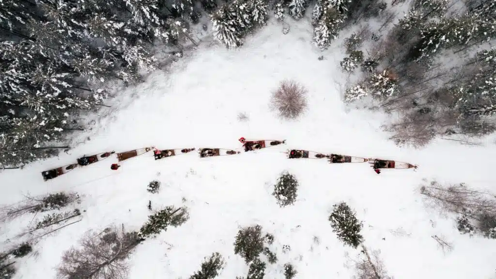 Reindeer ride at Taava Reindeer Farm in winter