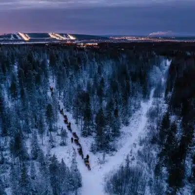 Santa Claus Reindeer from above