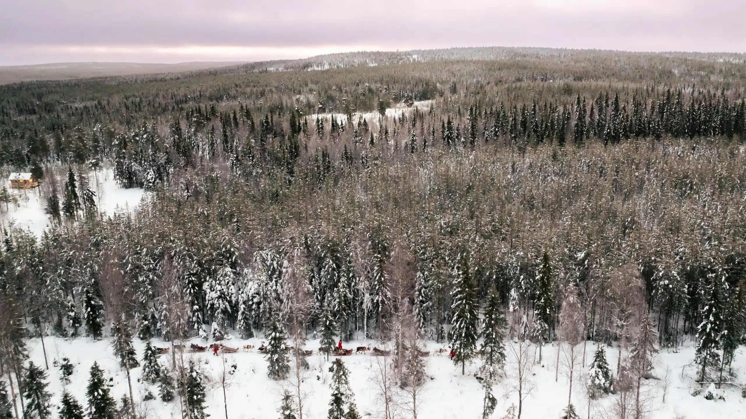 Taava Reindeer Farm in winter