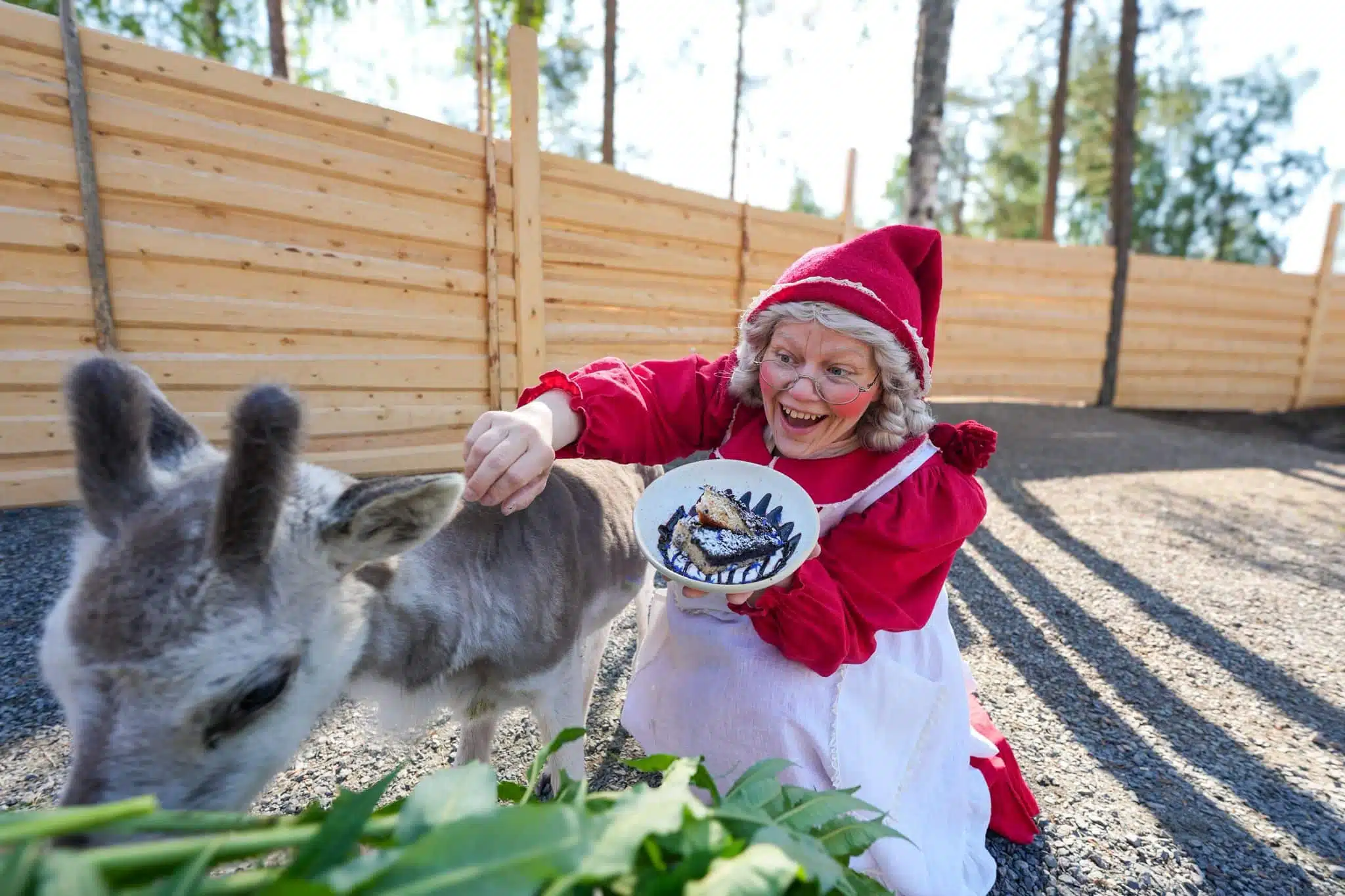 MRS SANTA CLAUS feedding reindeer calf and eats blueberry pie