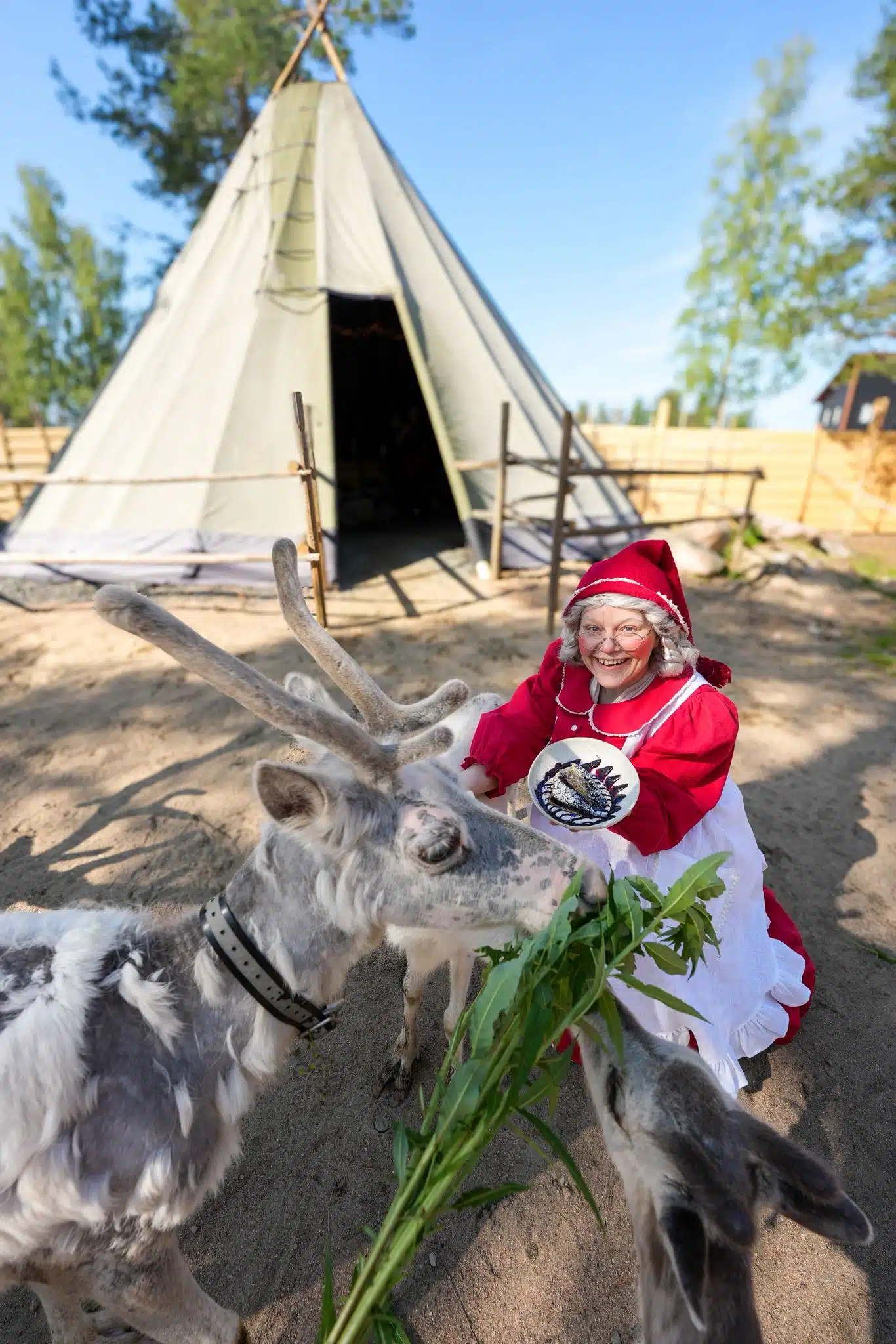 MRS SANTA CLAUS with a reindeer at Santa Claus Reindeer fence