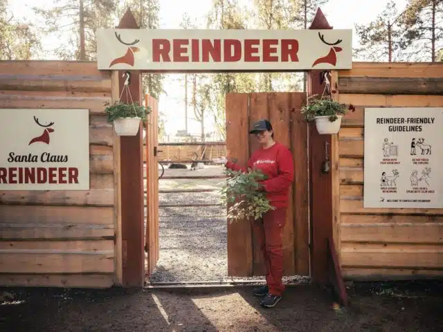 Autumn Magic in Santa Claus Village – A Fun and Unforgettable Experience with Reindeer