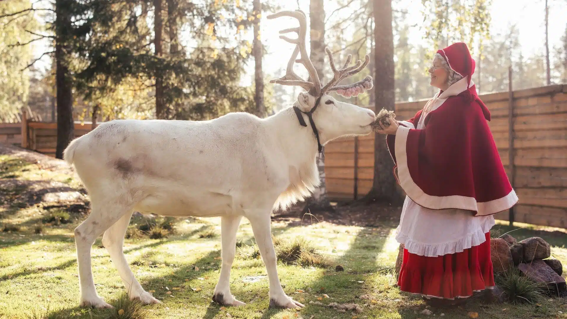 Autumn Magic in Santa Claus Village – A Fun and Unforgettable Experience with Reindeer