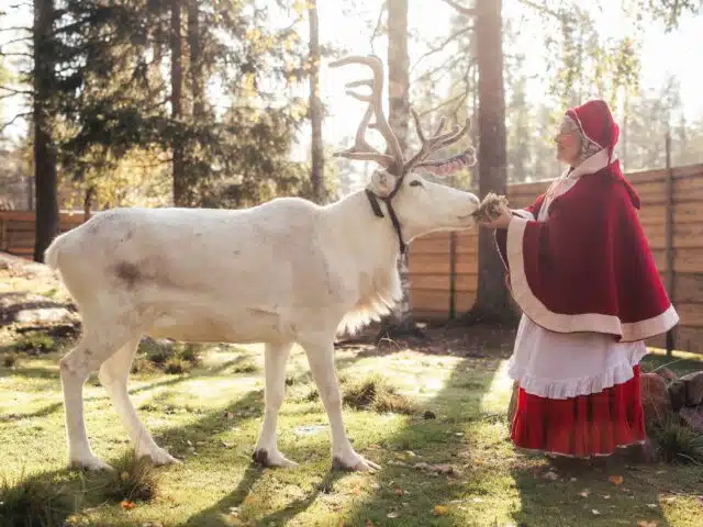 Autumn Magic in Santa Claus Village – A Fun and Unforgettable Experience with Reindeer