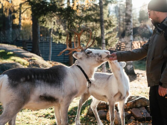 Autumn Magic in Santa Claus Village – A Fun and Unforgettable Experience with Reindeer