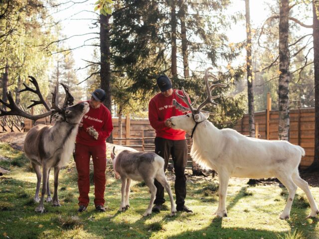 Autumn Magic in Santa Claus Village – A Fun and Unforgettable Experience with Reindeer