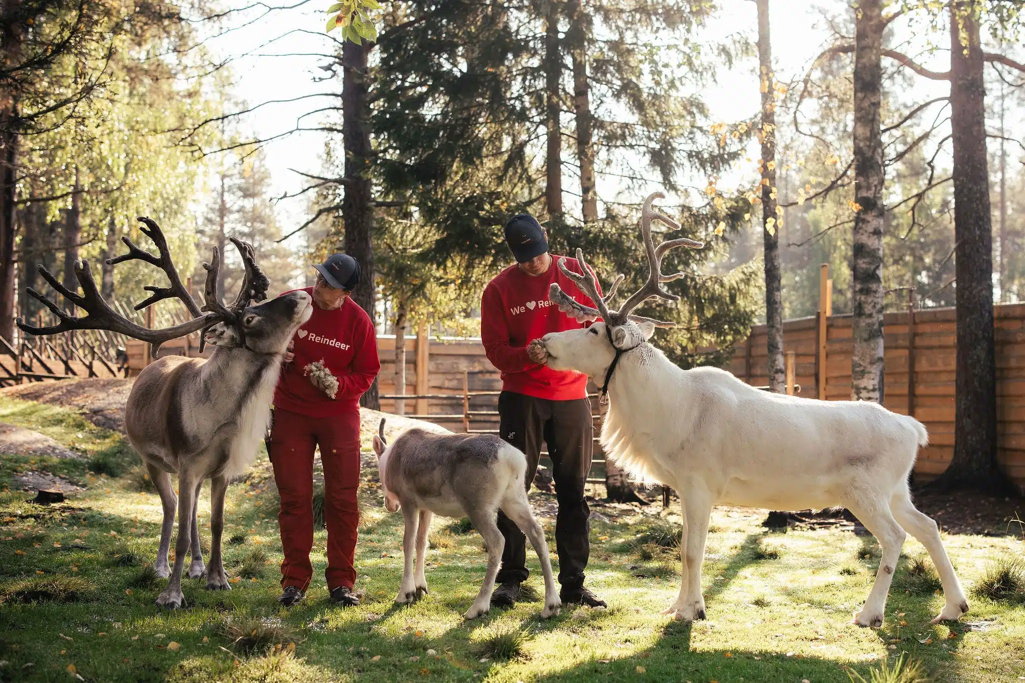 Autumn Magic in Santa Claus Village – A Fun and Unforgettable Experience with Reindeer