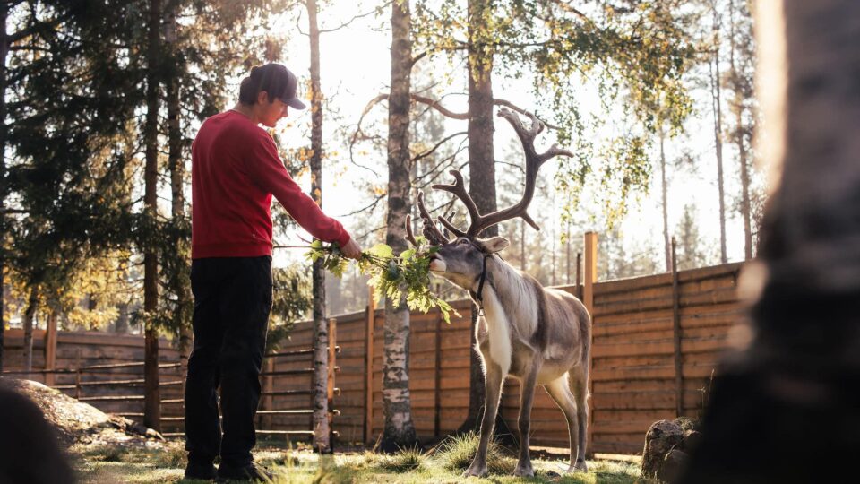 Autumn Magic in Santa Claus Village – A Fun and Unforgettable Experience with Reindeer