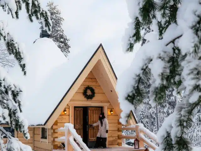 Daytime Reindeer Safari – 3-hour Wilderness Experience in Rovaniemi