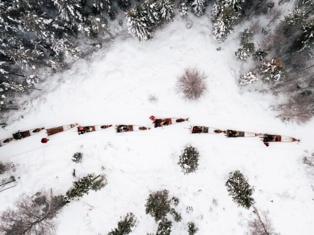 Daytime Reindeer Safari – 3-hour Wilderness Experience in Rovaniemi