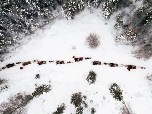 Daytime Reindeer Safari – 3-hour Wilderness Experience in Rovaniemi