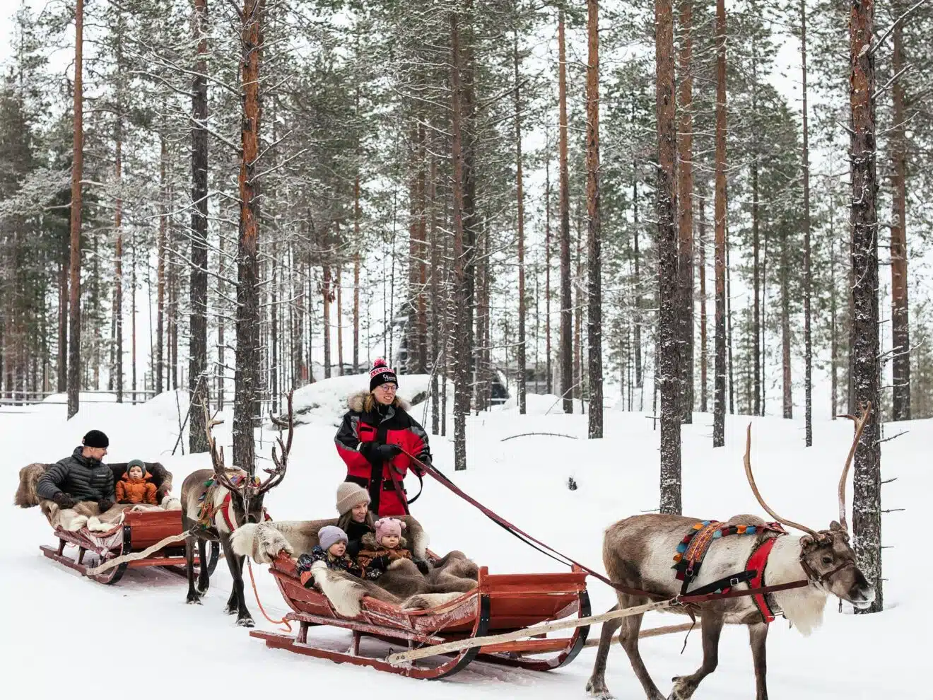 Forest Path – An 800-Meter Reindeer Sleigh Ride Adventure in Santa’s Forest, Rovaniemi