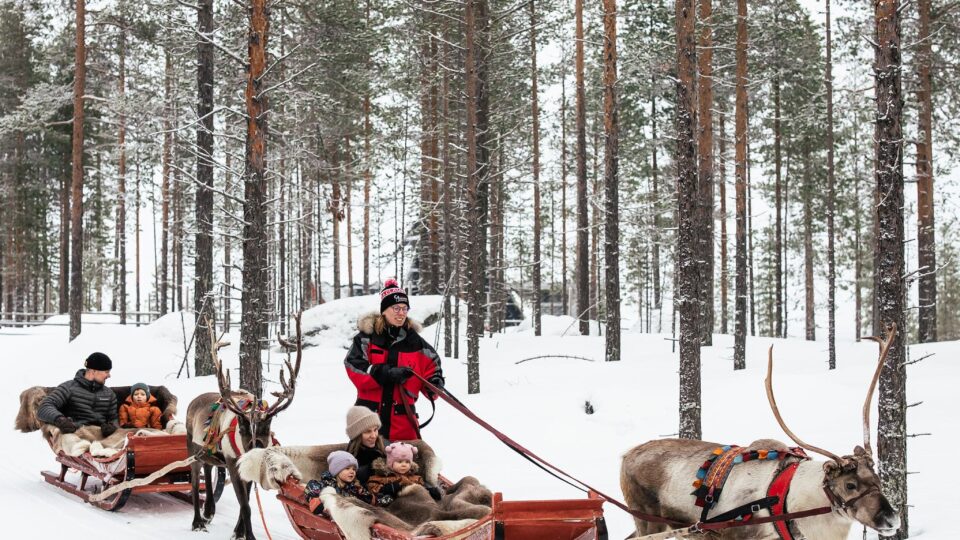 Forest Path – An 800-Meter Reindeer Sleigh Ride Adventure in Santa’s Forest, Rovaniemi