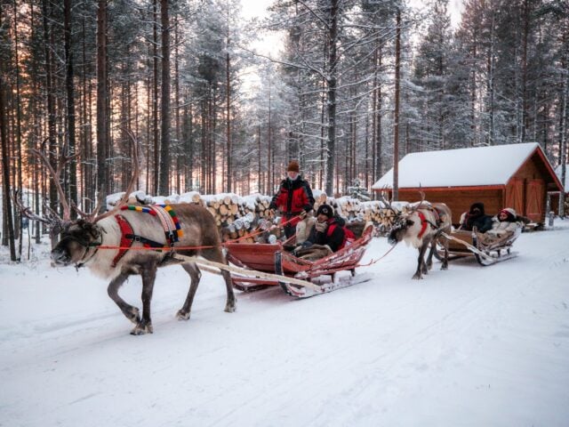 Forest Path – An 800-Meter Reindeer Sleigh Ride Adventure in Santa’s Forest, Rovaniemi