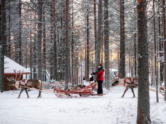 Forest Path – An 800-Meter Reindeer Sleigh Ride Adventure in Santa’s Forest, Rovaniemi